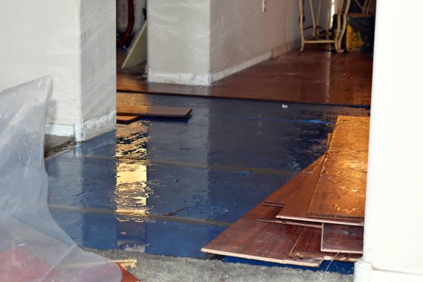 Professional Burst Pipe Cleanup technician working in Dover, FL